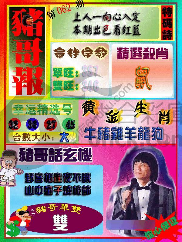 猪哥报