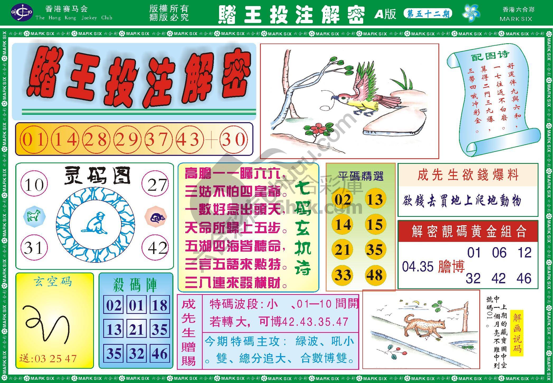 赌王投注解密