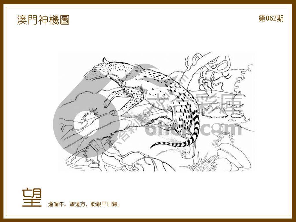 澳门神机图