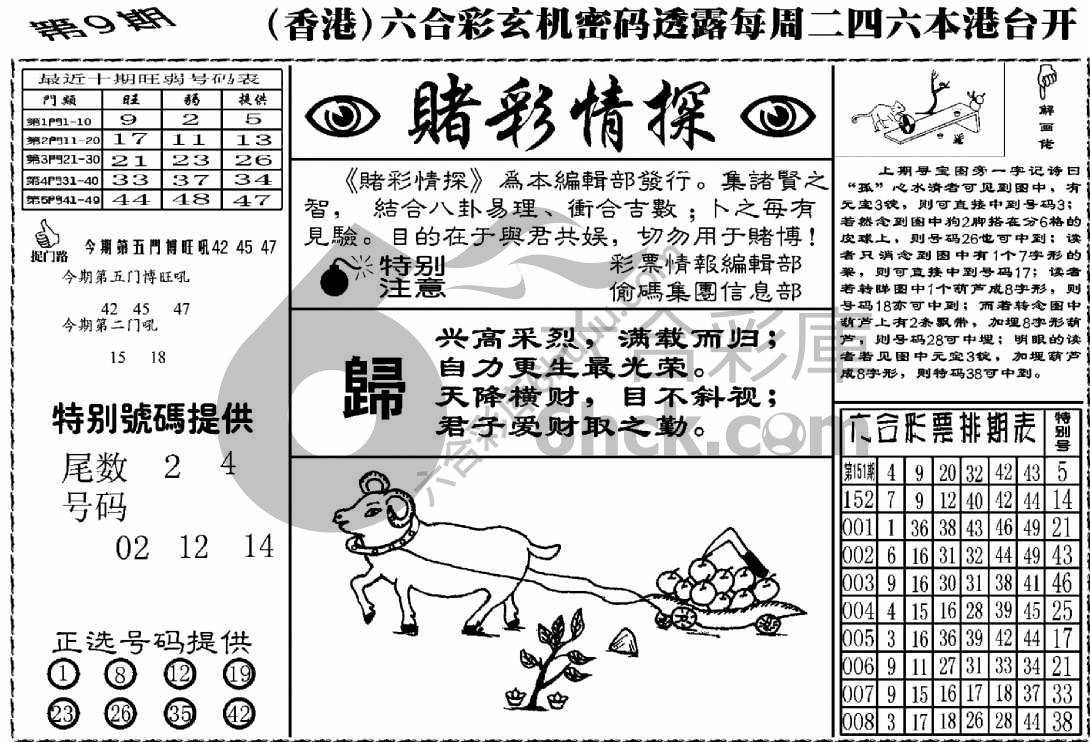 赌彩情探