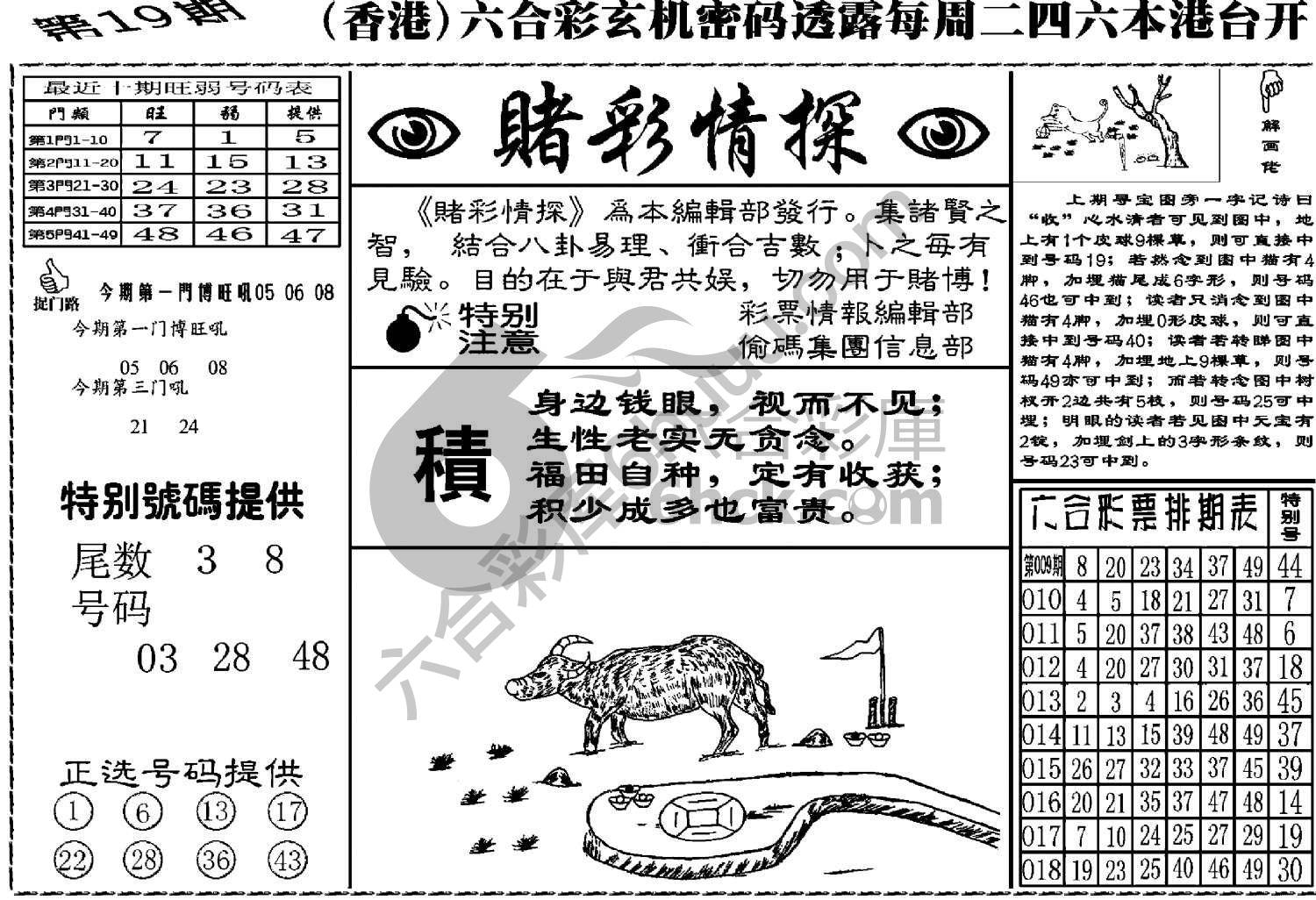 赌彩情探