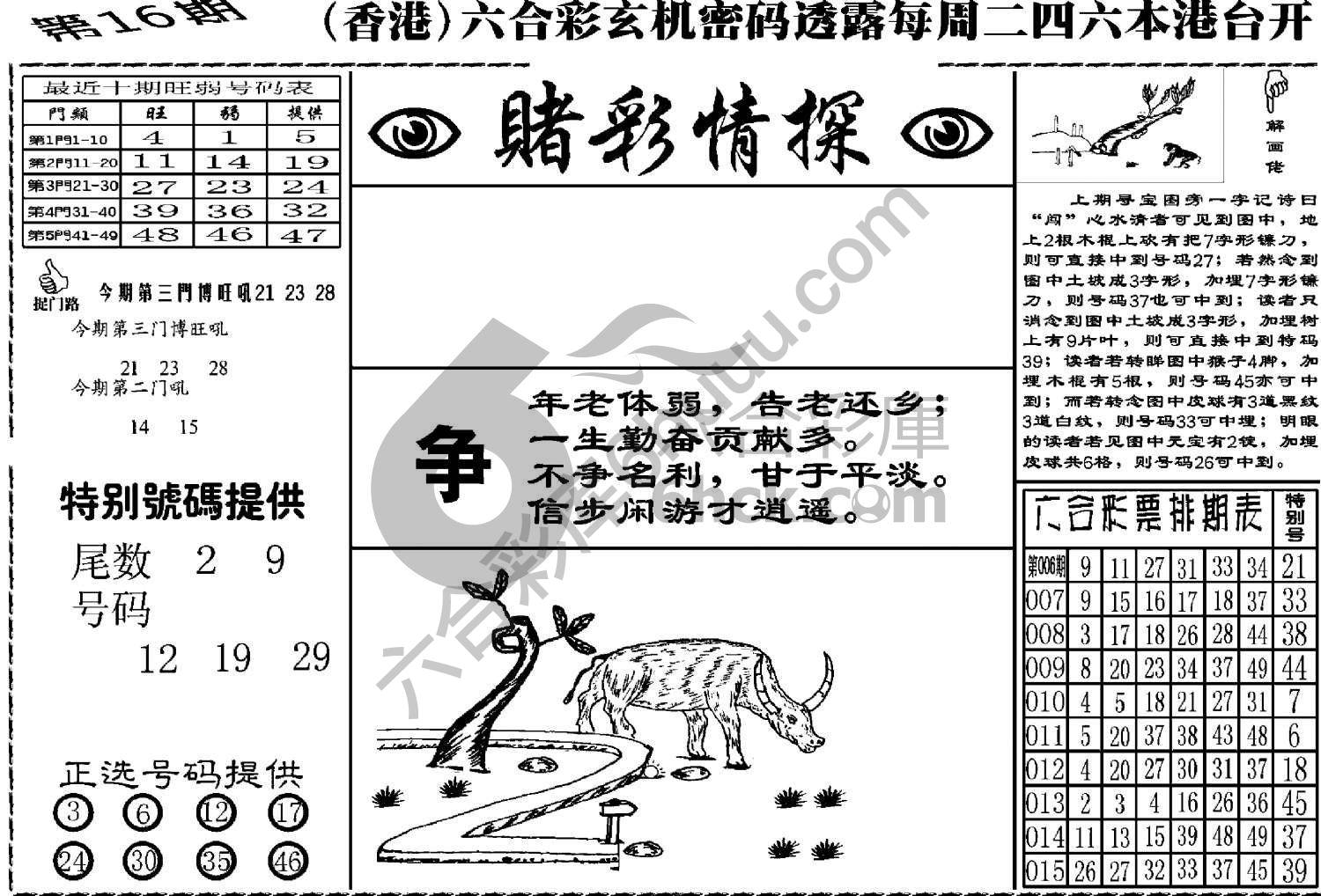 赌彩情探