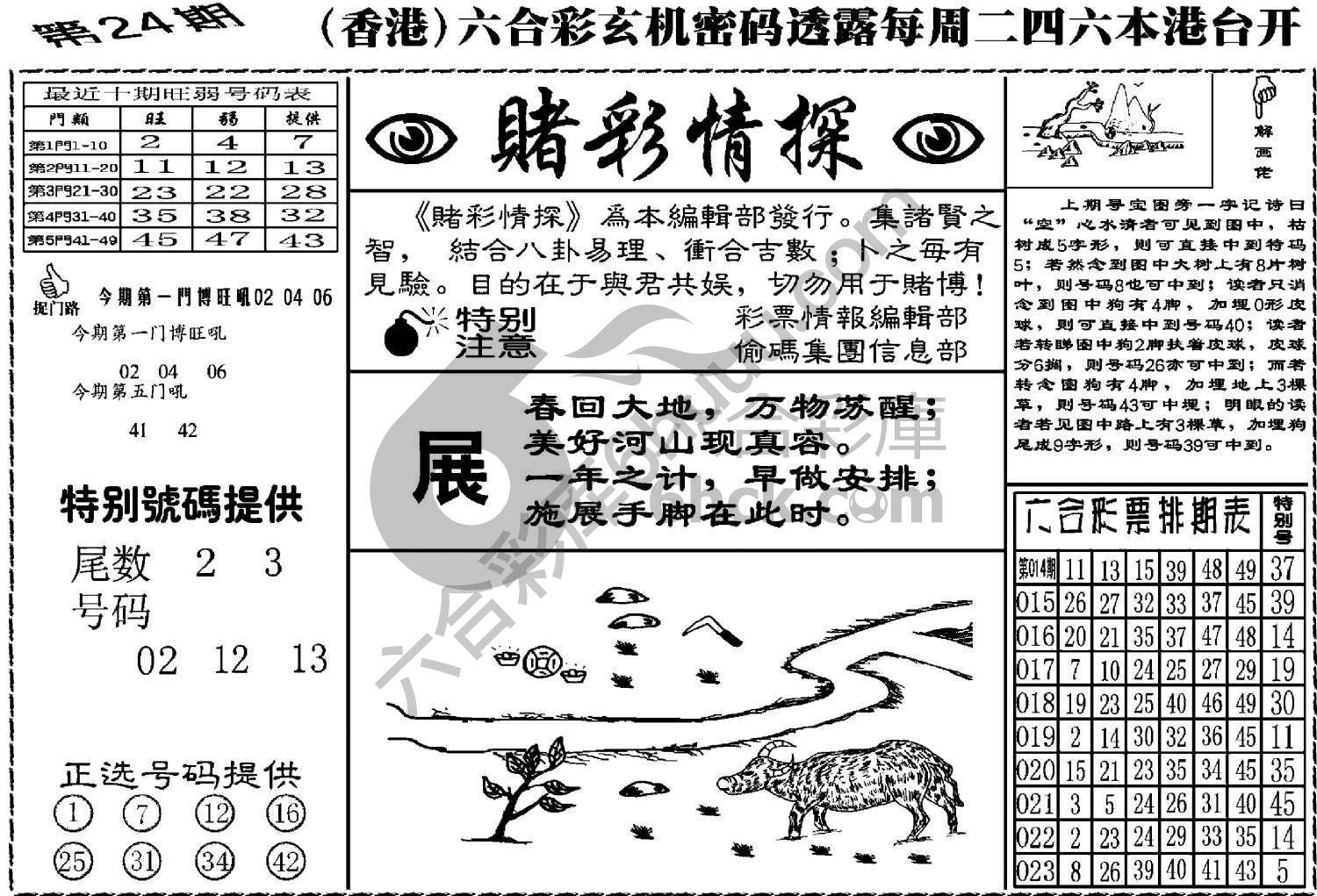 赌彩情探