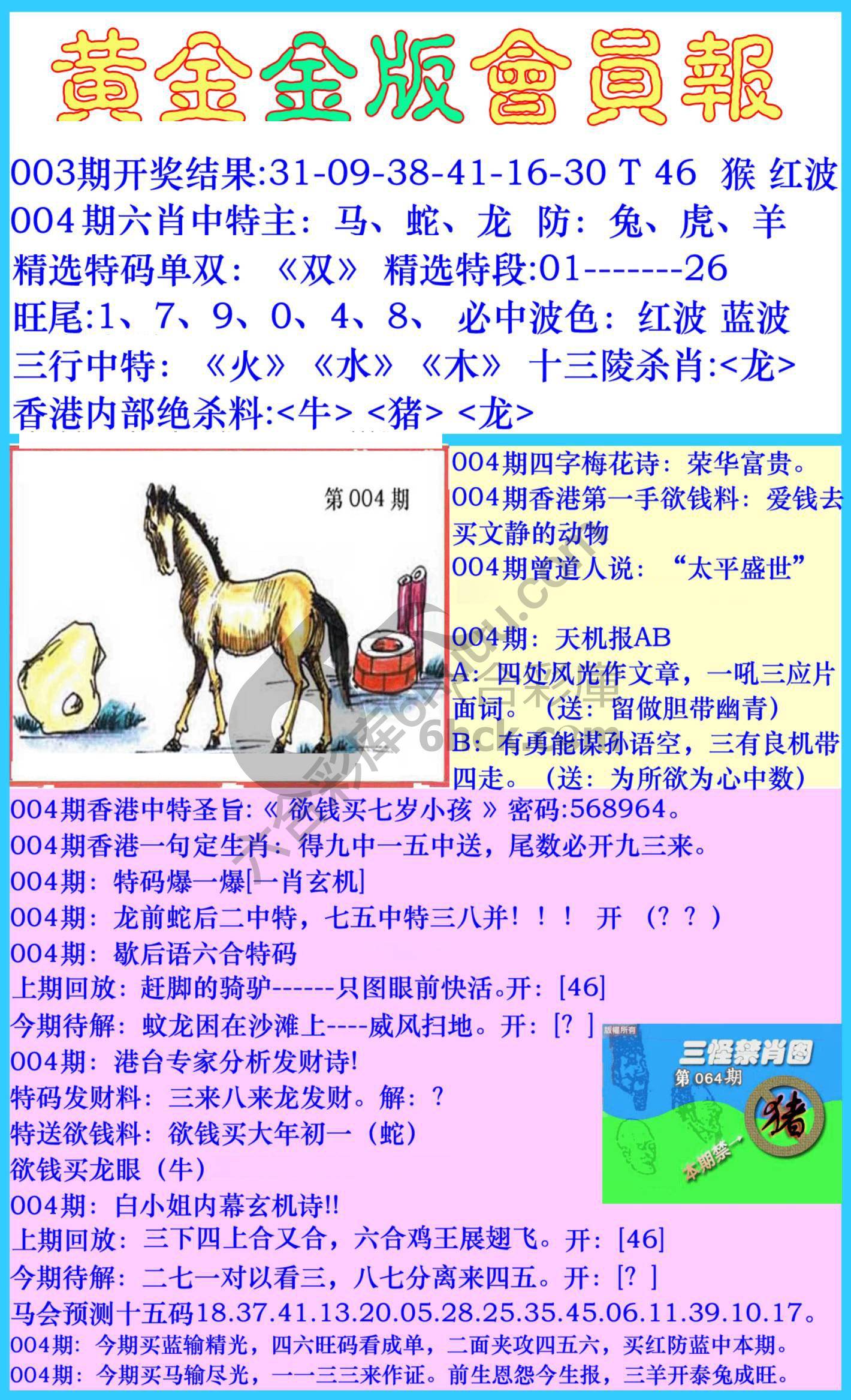 黄金金版会员报
