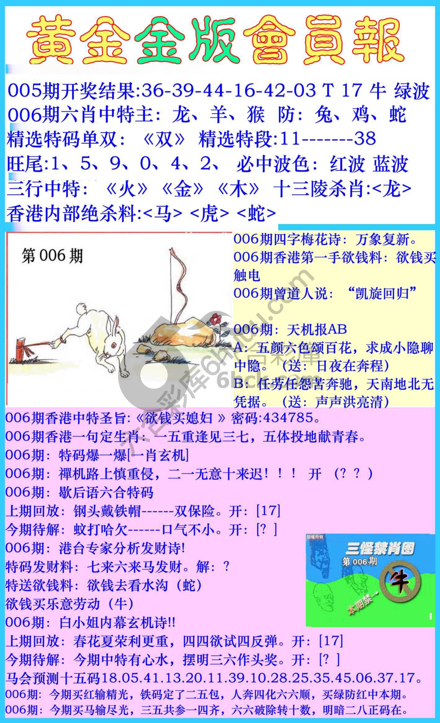 黄金金版会员报