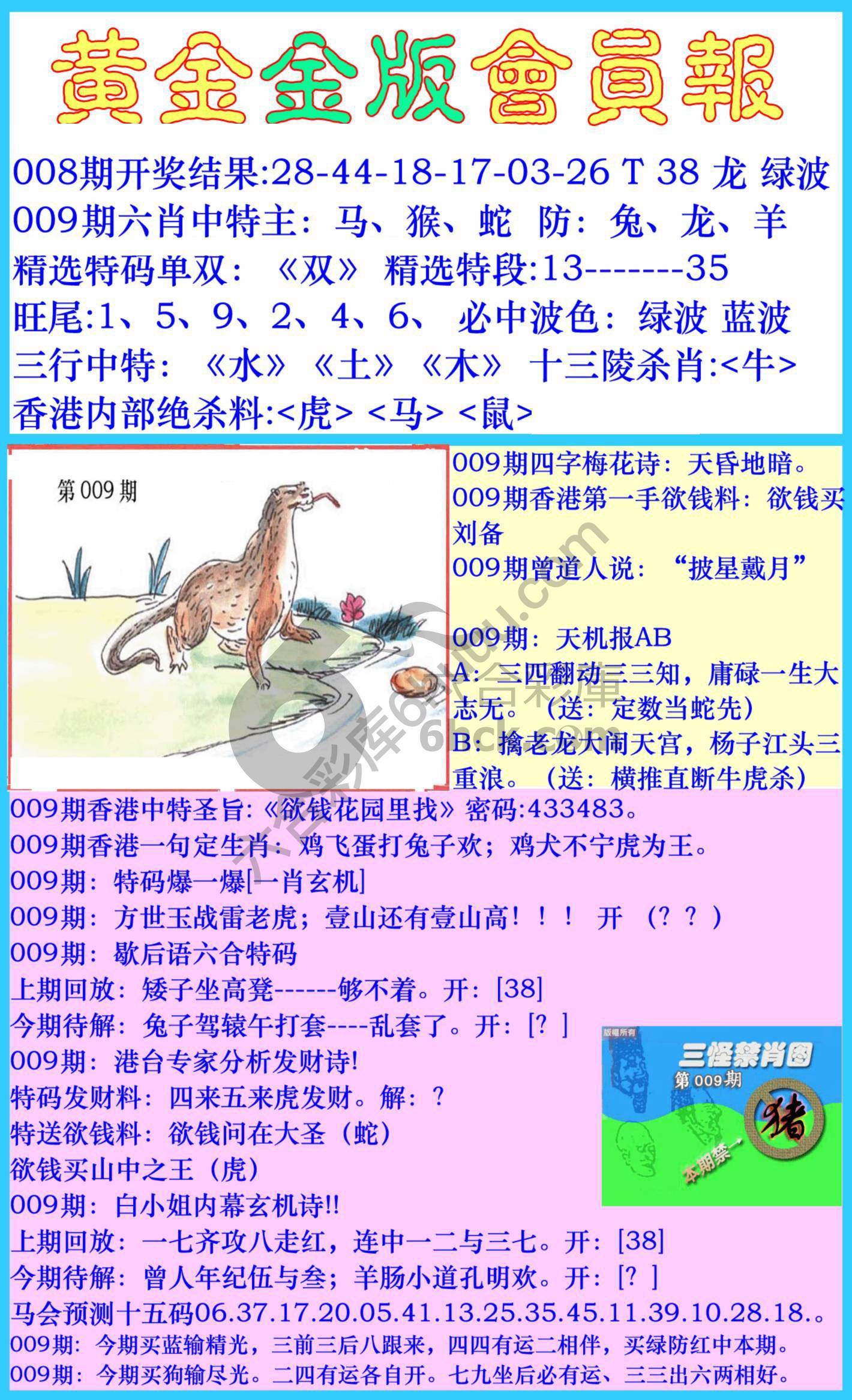 黄金金版会员报