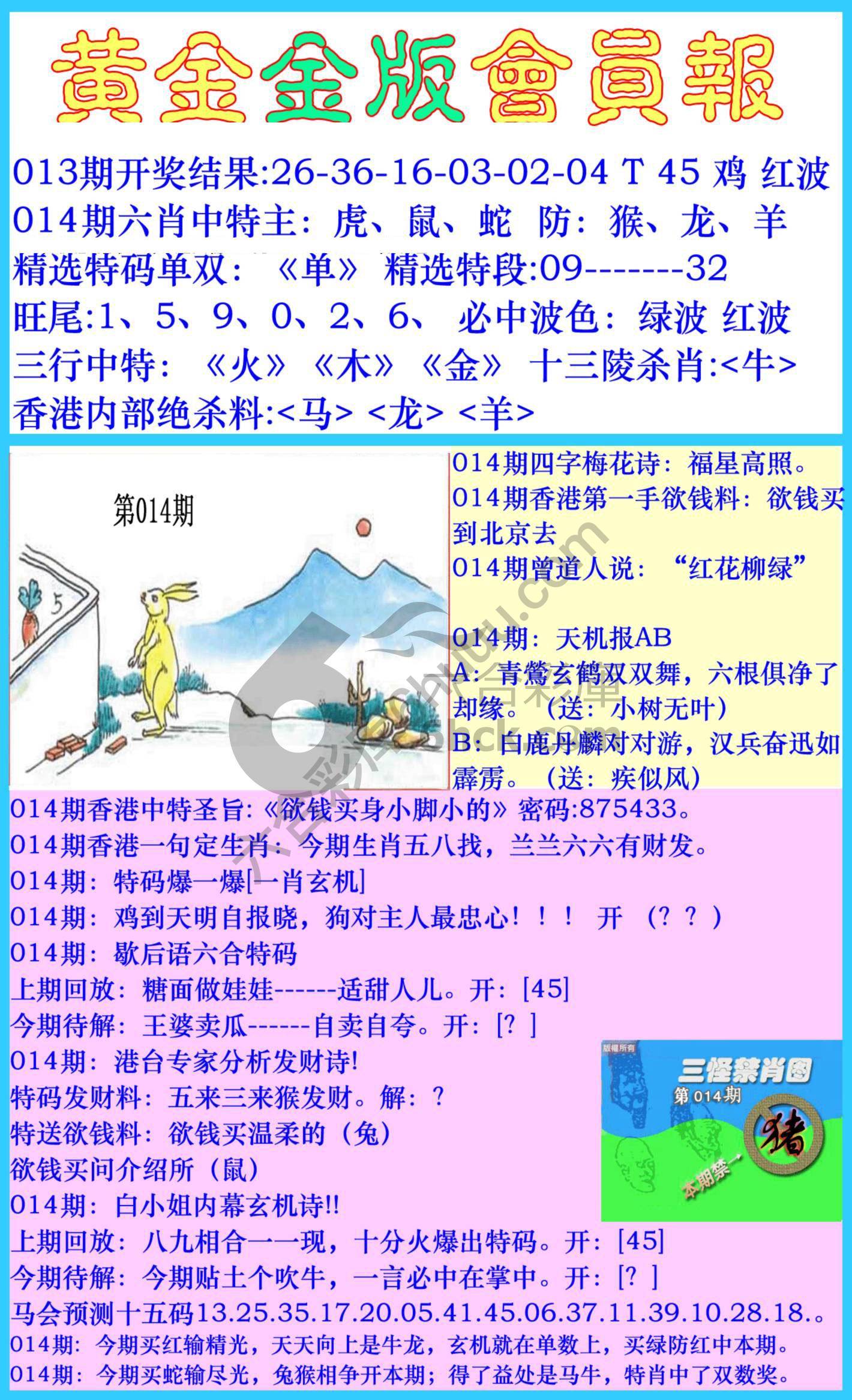 黄金金版会员报