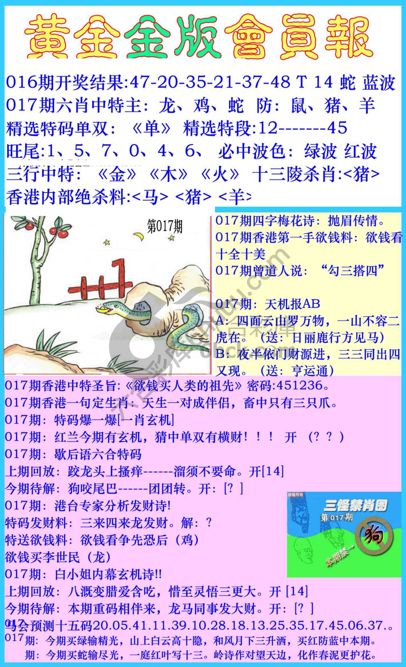 黄金金版会员报