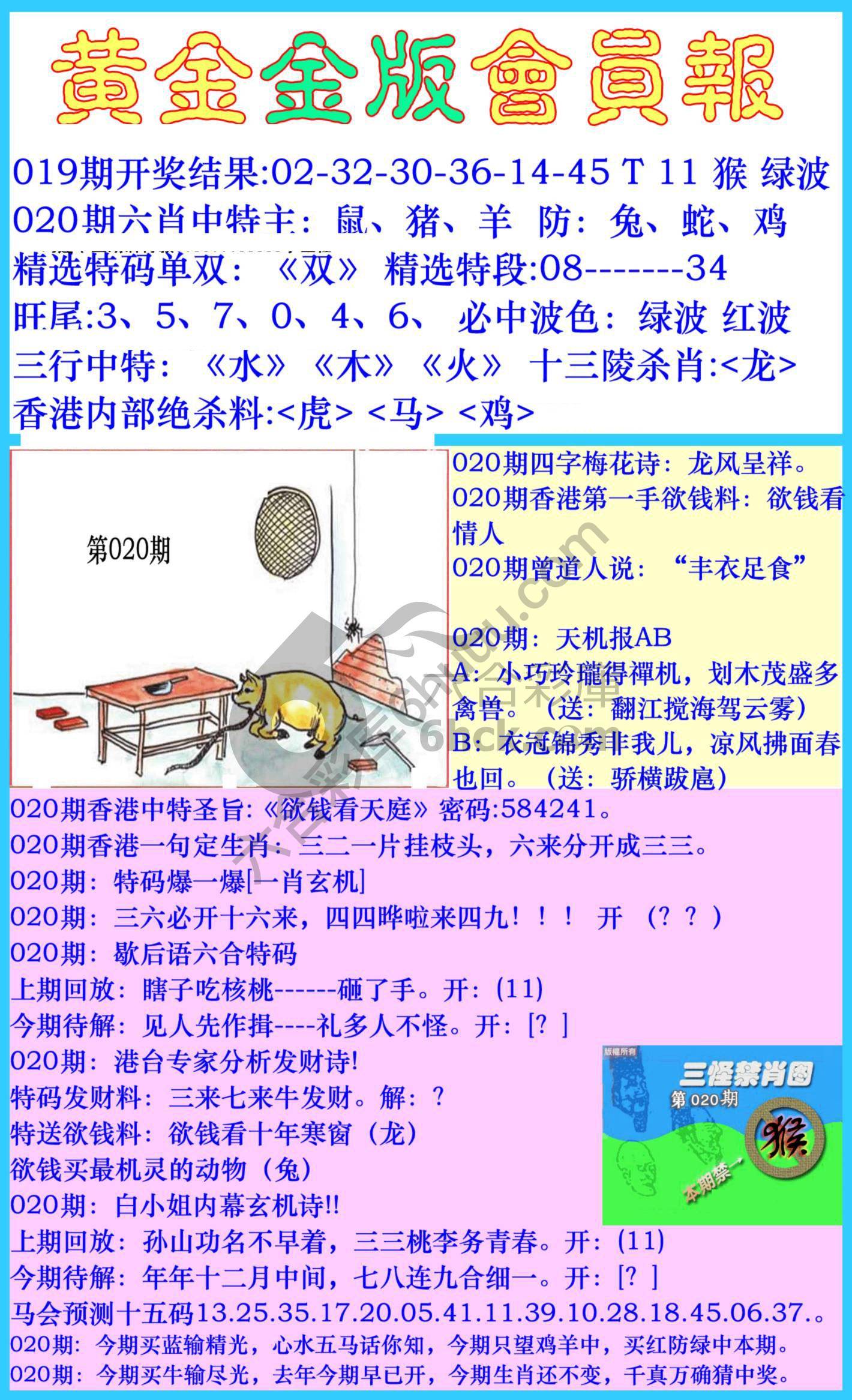 黄金金版会员报