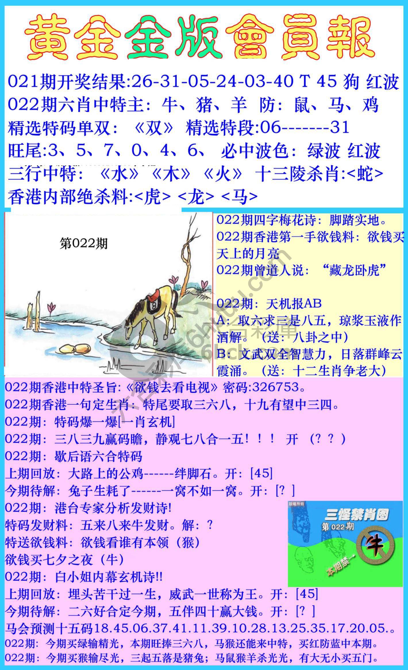 黄金金版会员报
