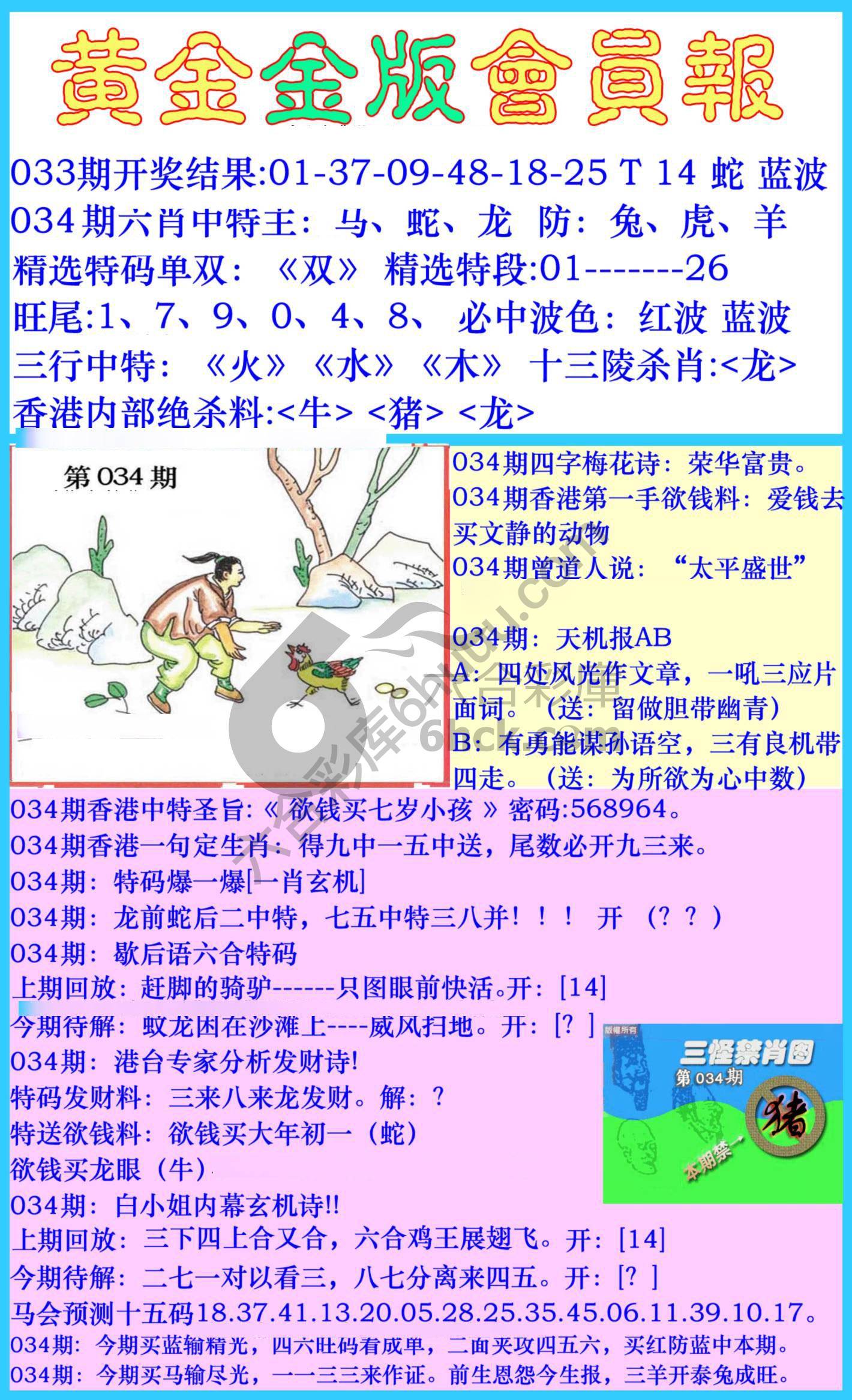 黄金金版会员报