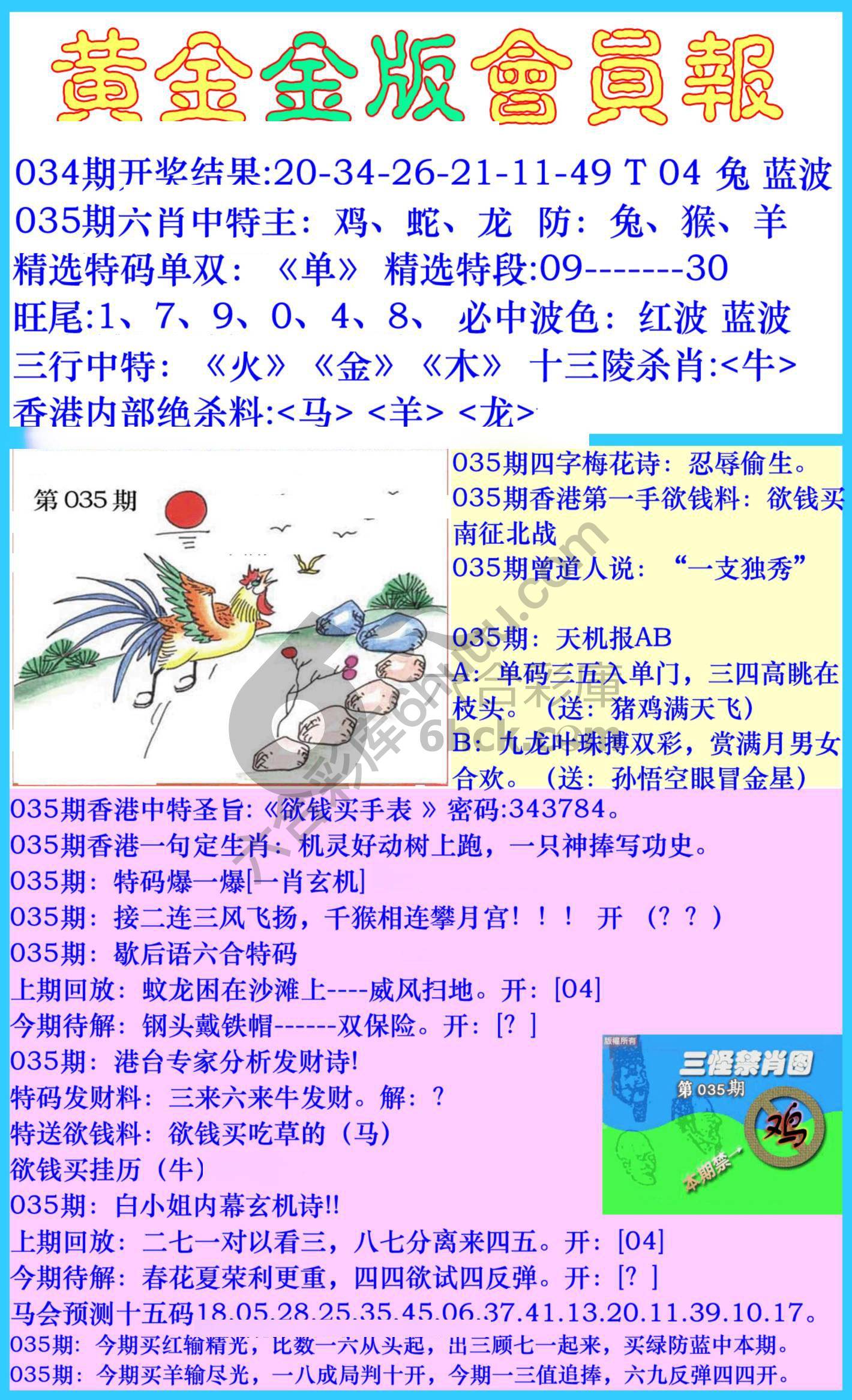 黄金金版会员报