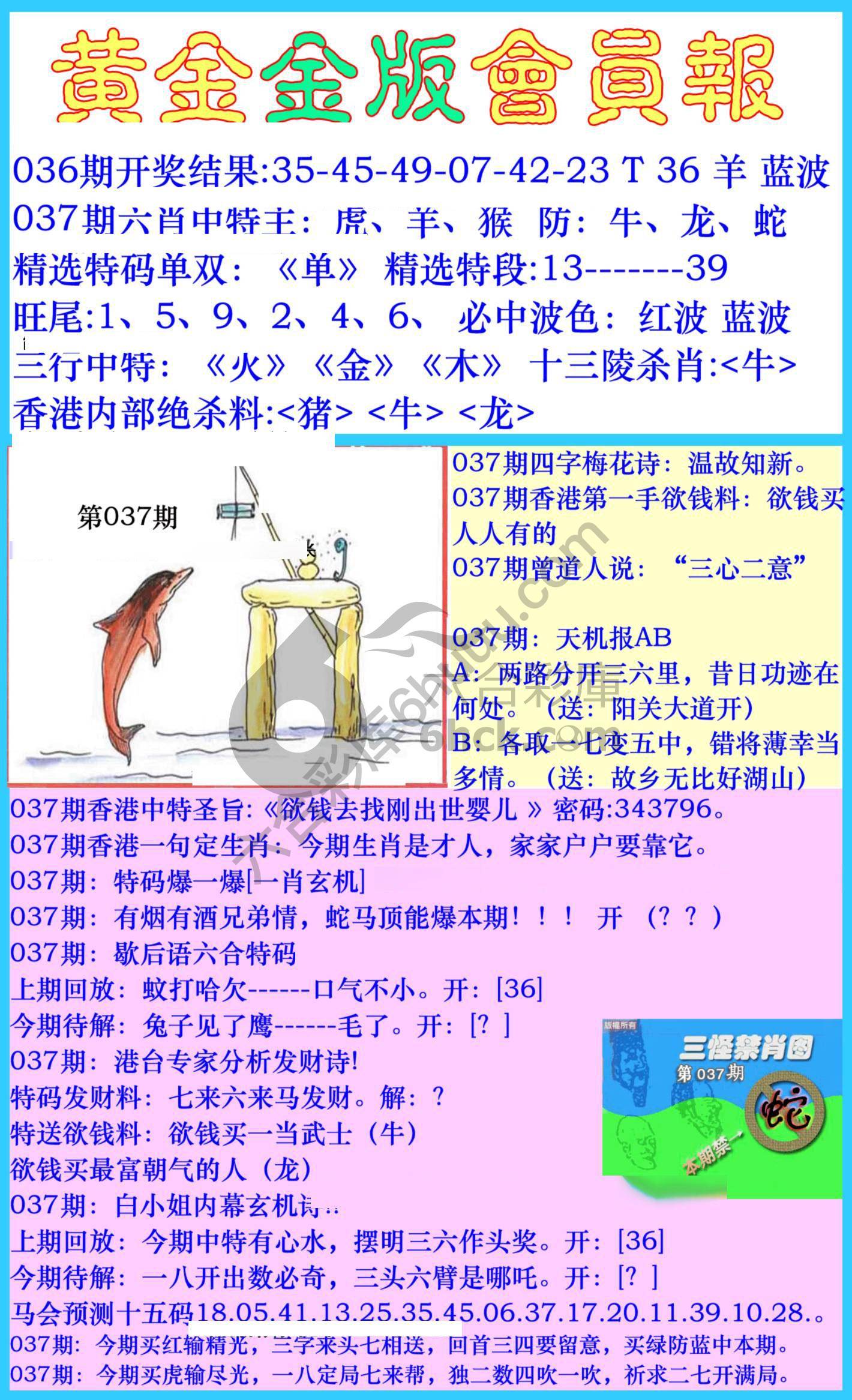 黄金金版会员报