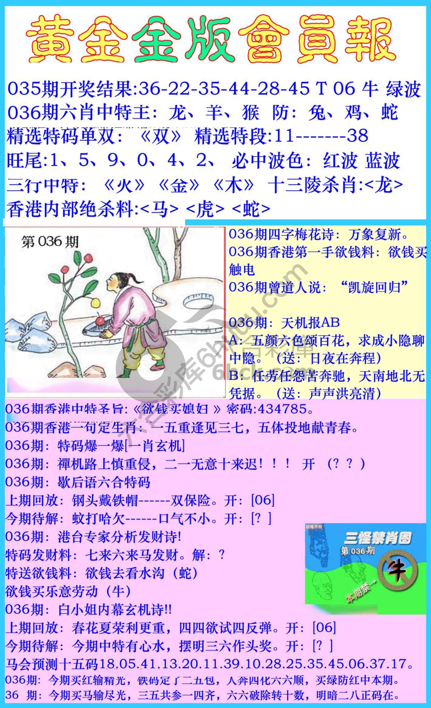 黄金金版会员报