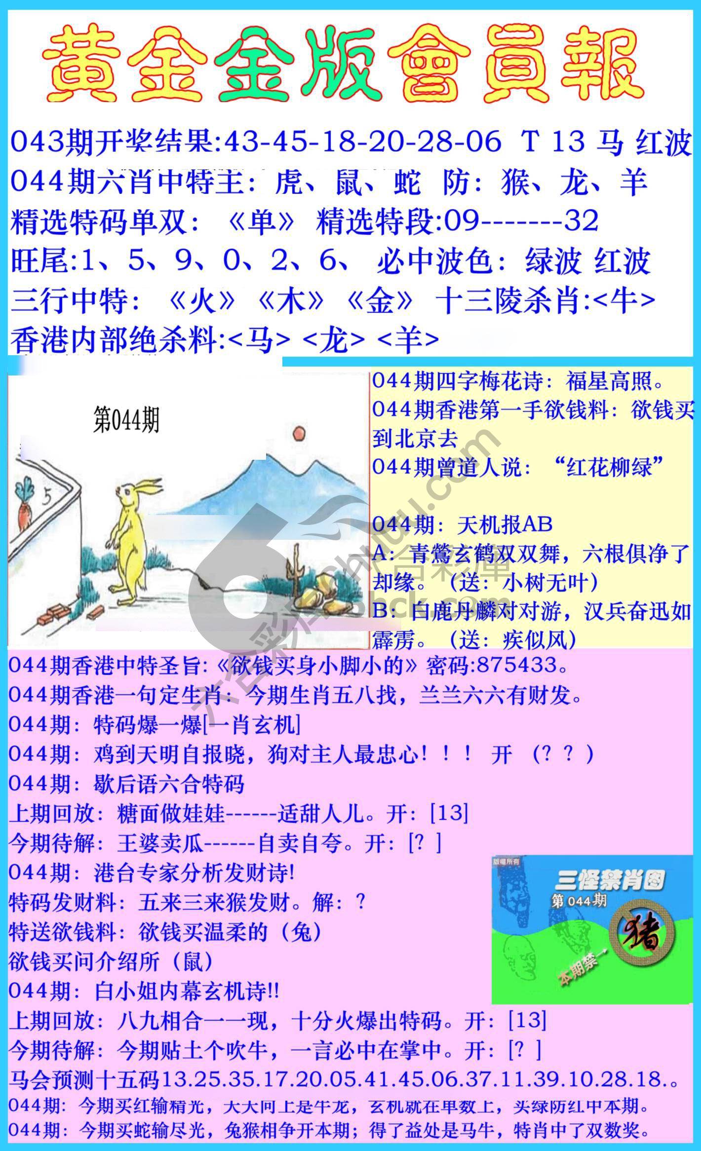 黄金金版会员报