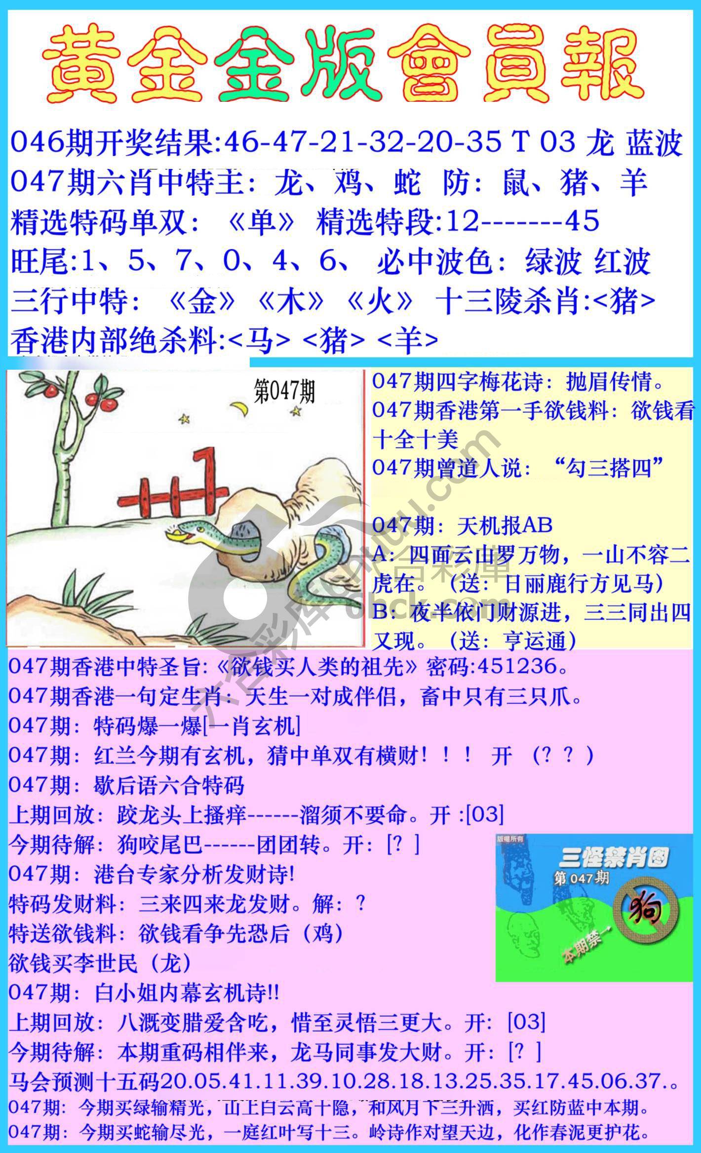 黄金金版会员报