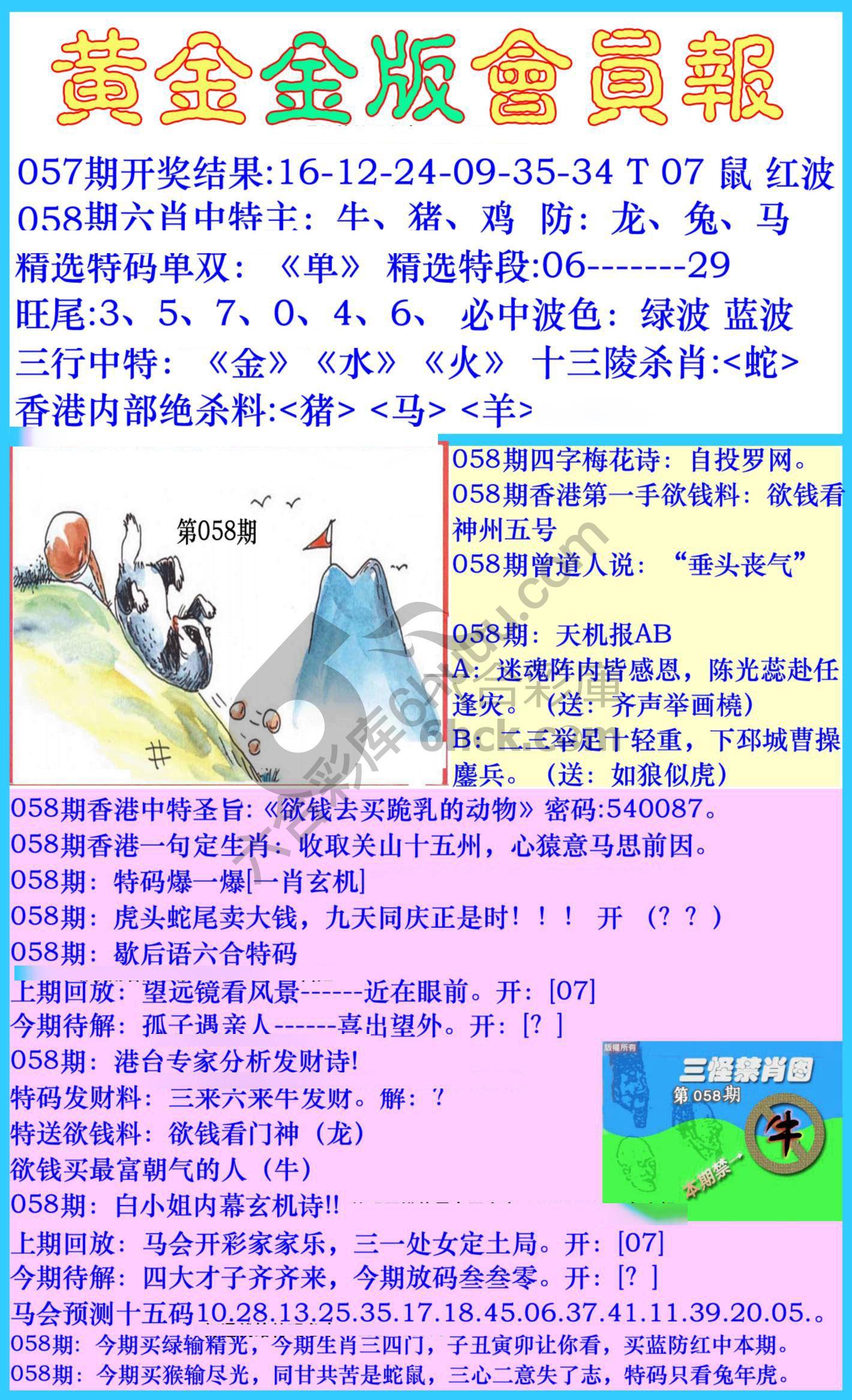 黄金金版会员报