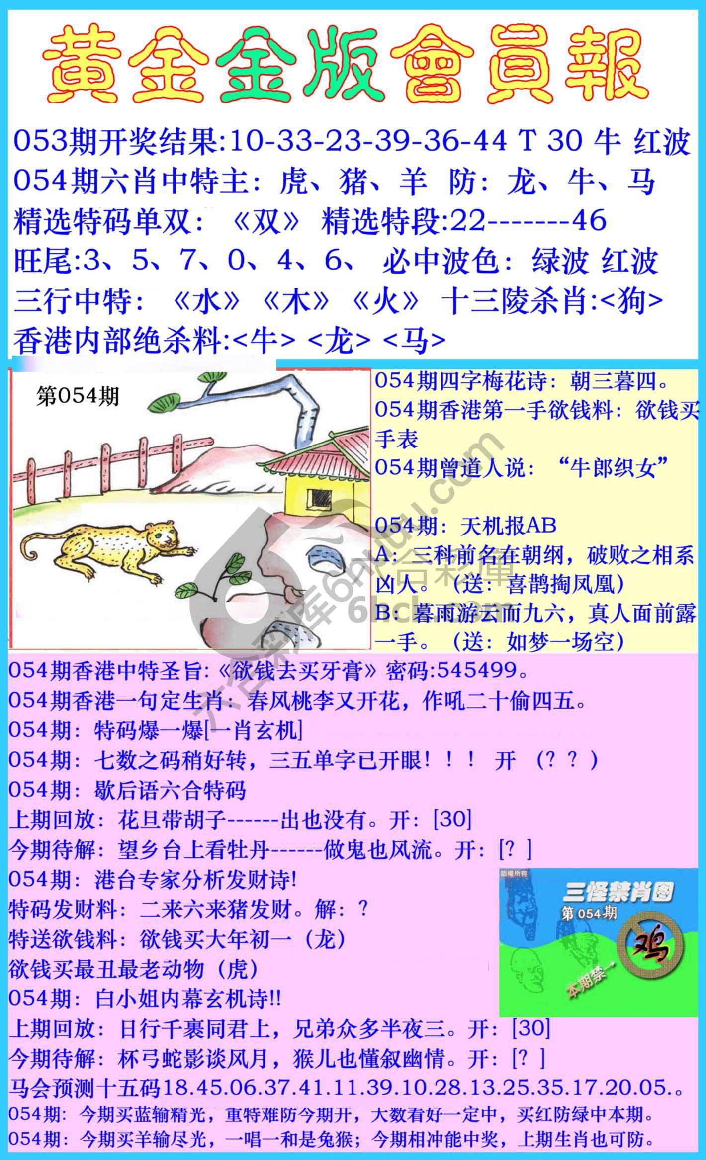 黄金金版会员报
