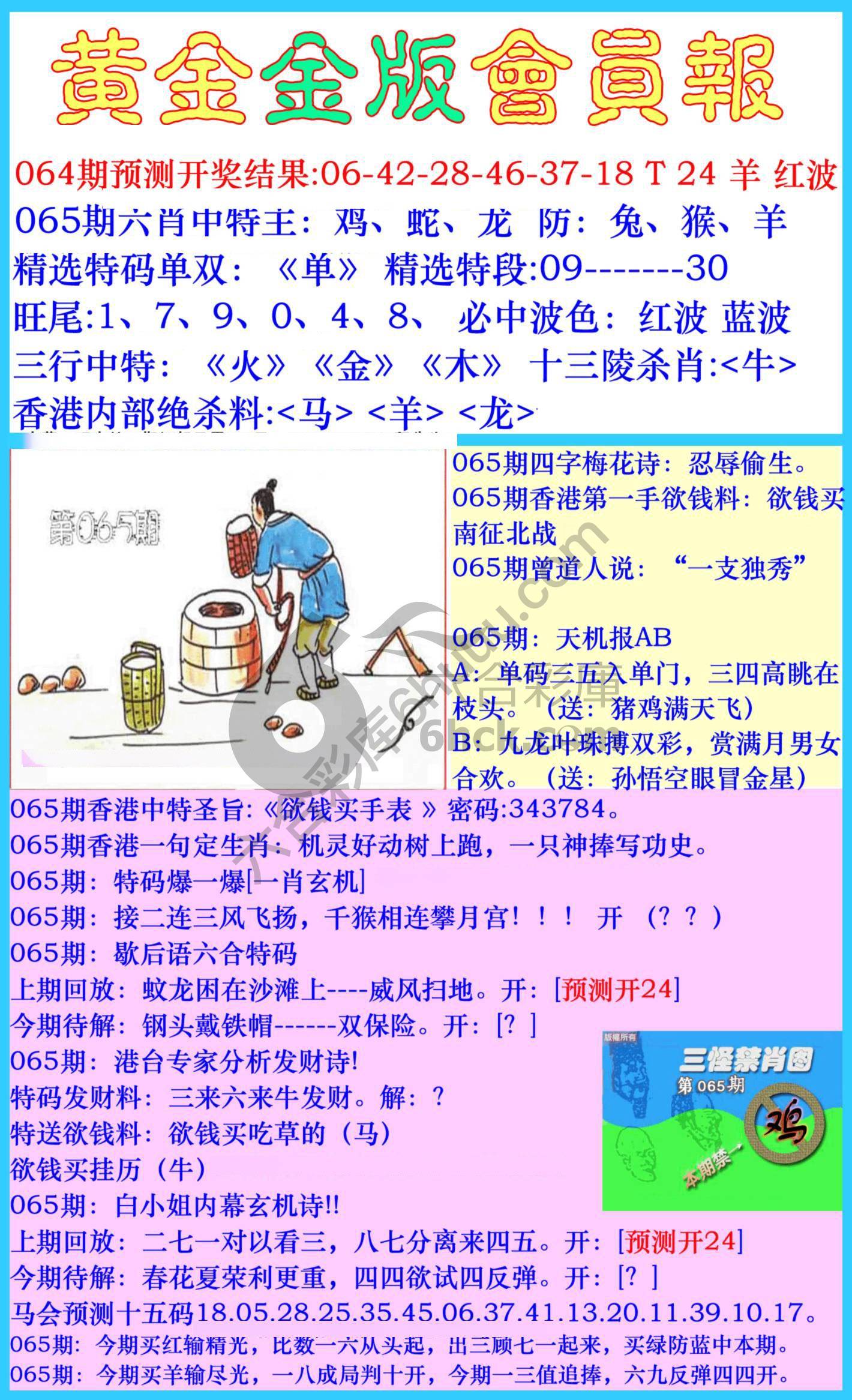 黄金金版会员报