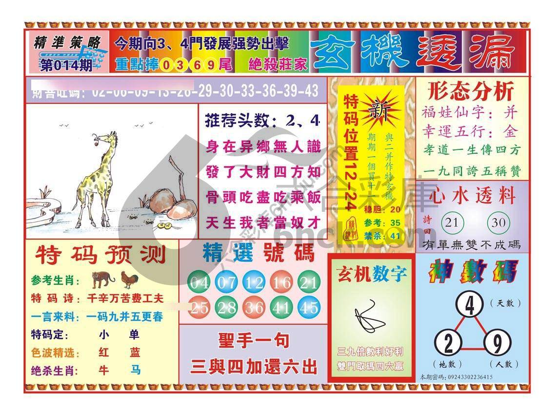 玄机透漏