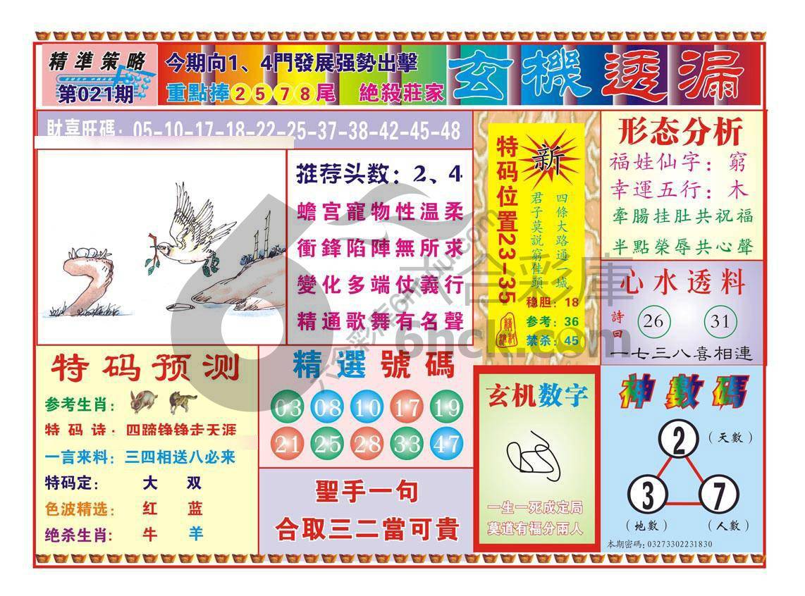 玄机透漏