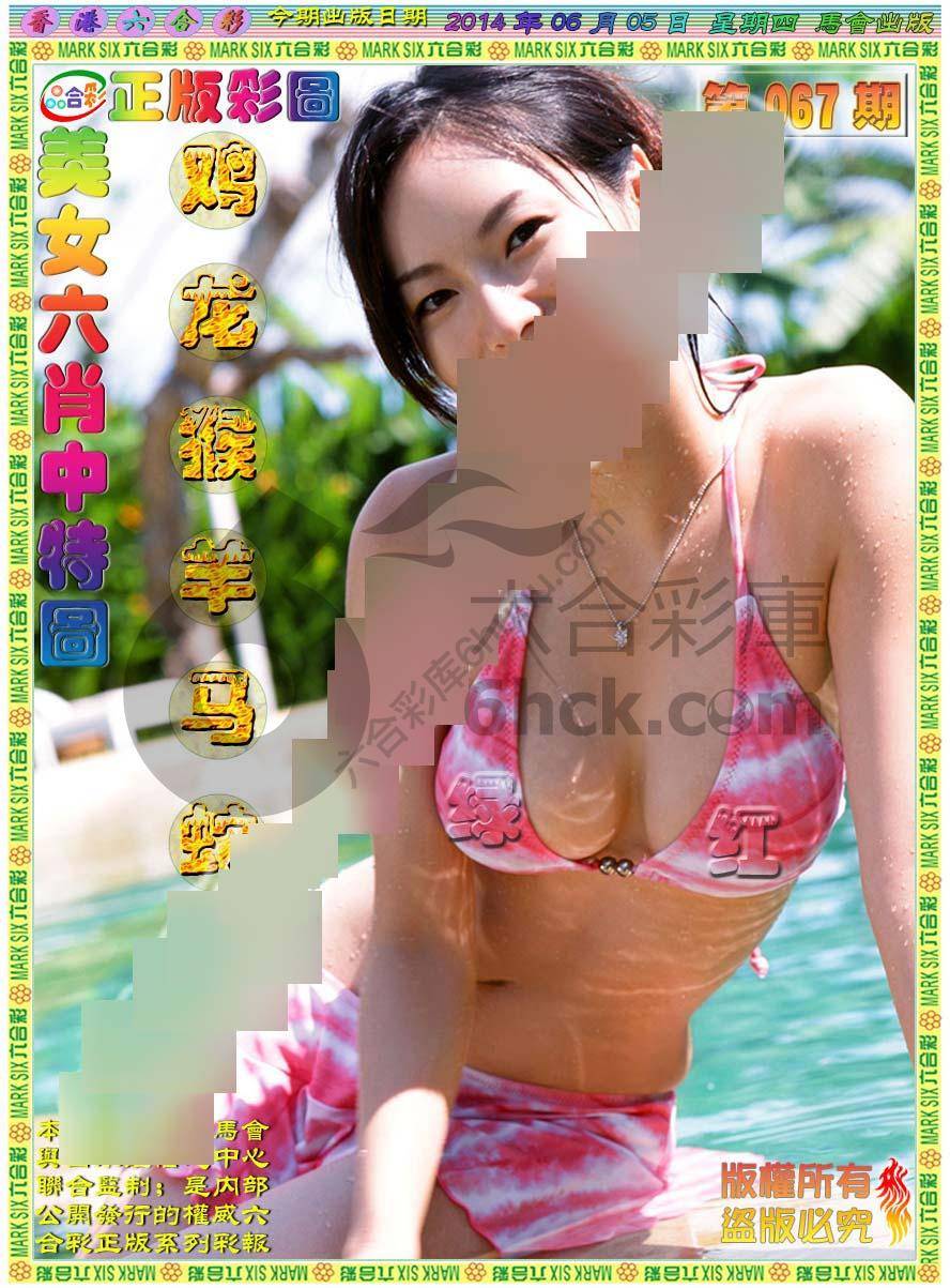 美女六肖图