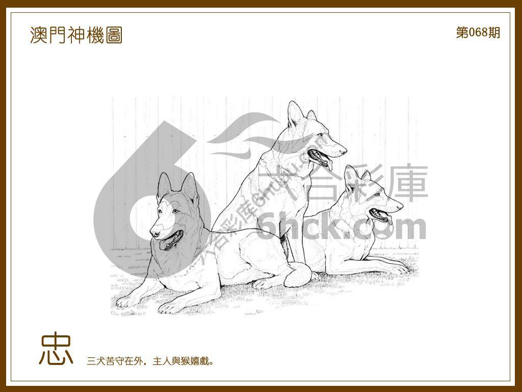 澳门神机图