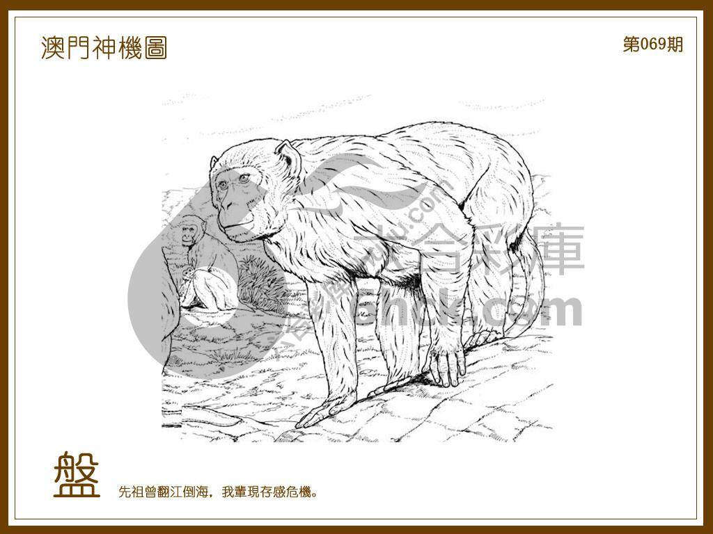 澳门神机图