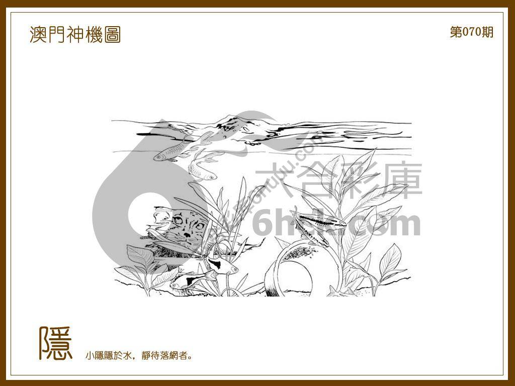 澳门神机图