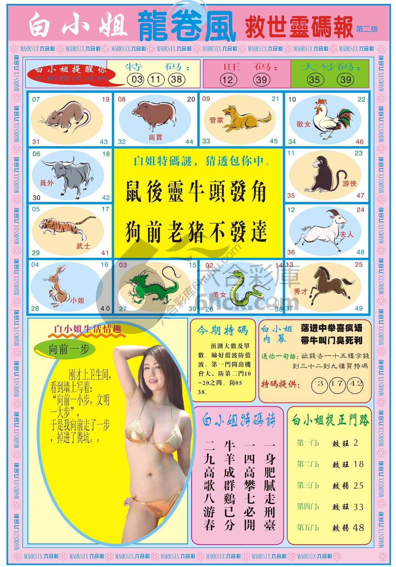 白小姐救世灵码报