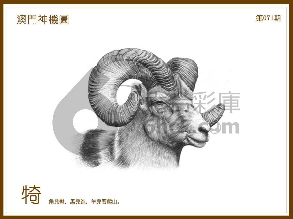 澳门神机图