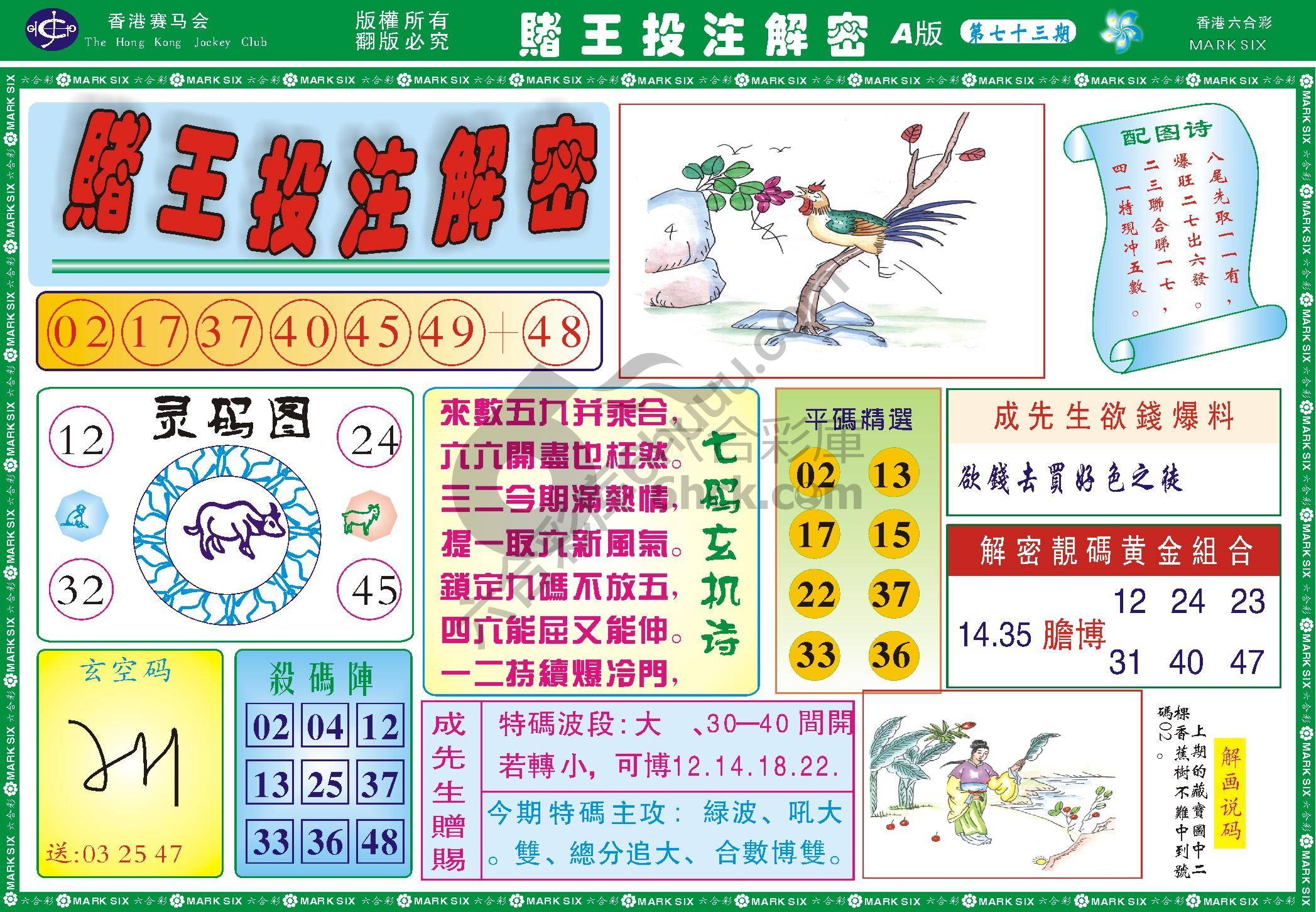 赌王投注解密