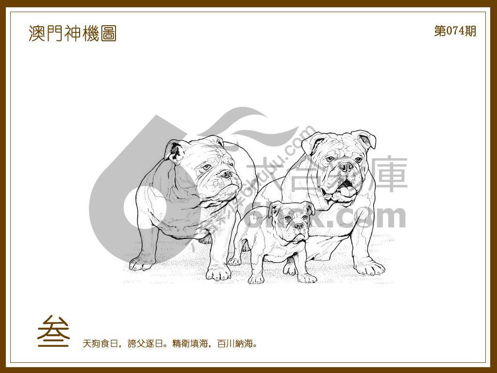 澳门神机图