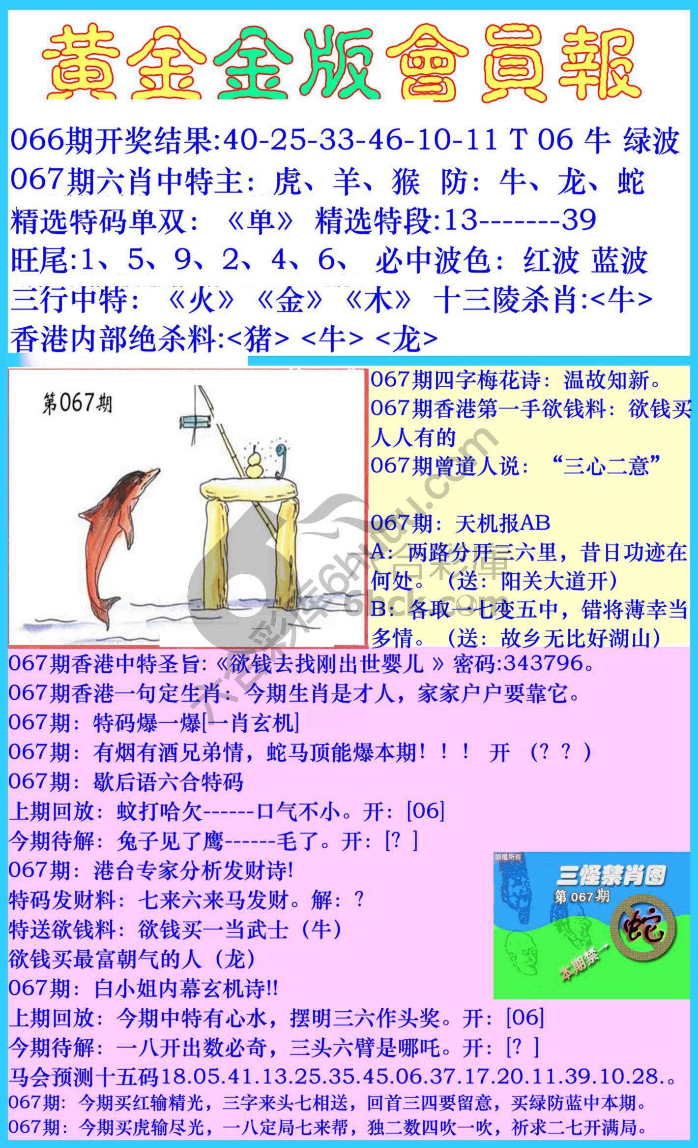 黄金金版会员报