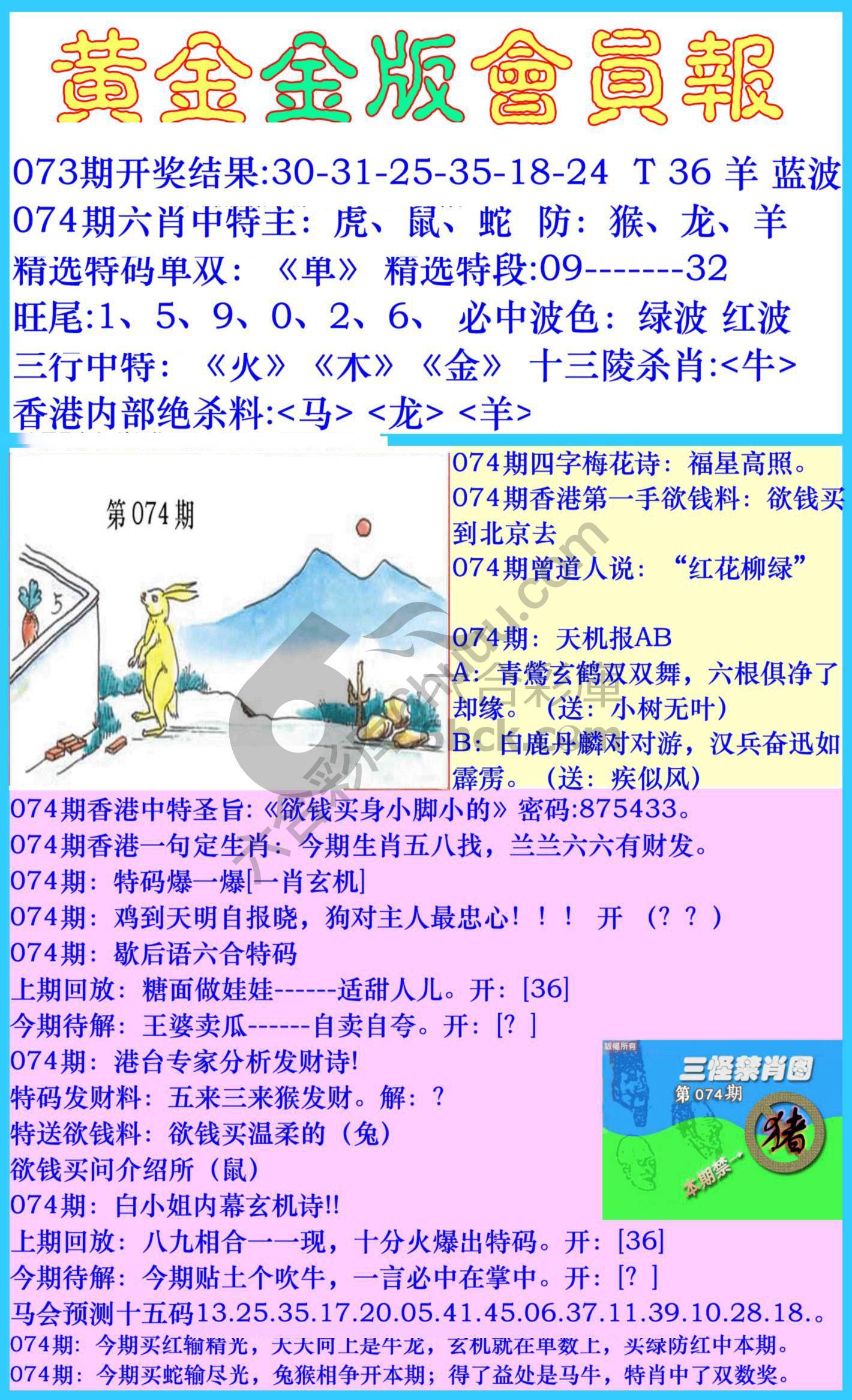 黄金金版会员报