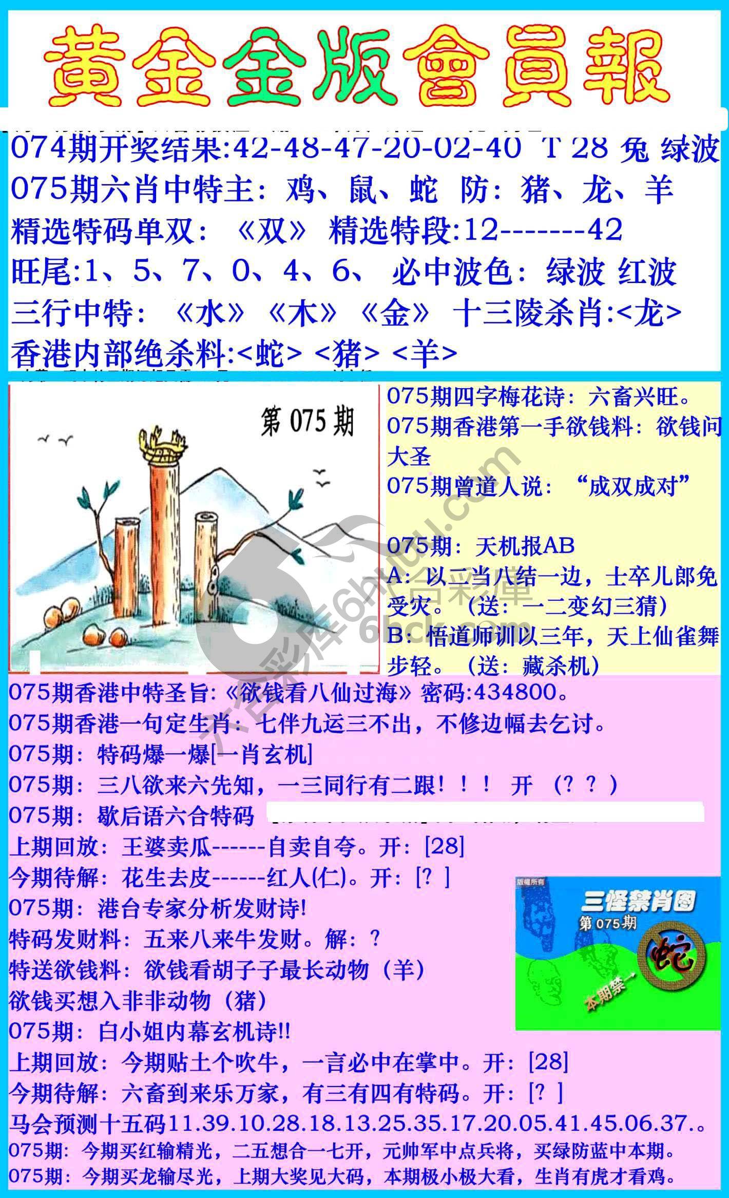 黄金金版会员报
