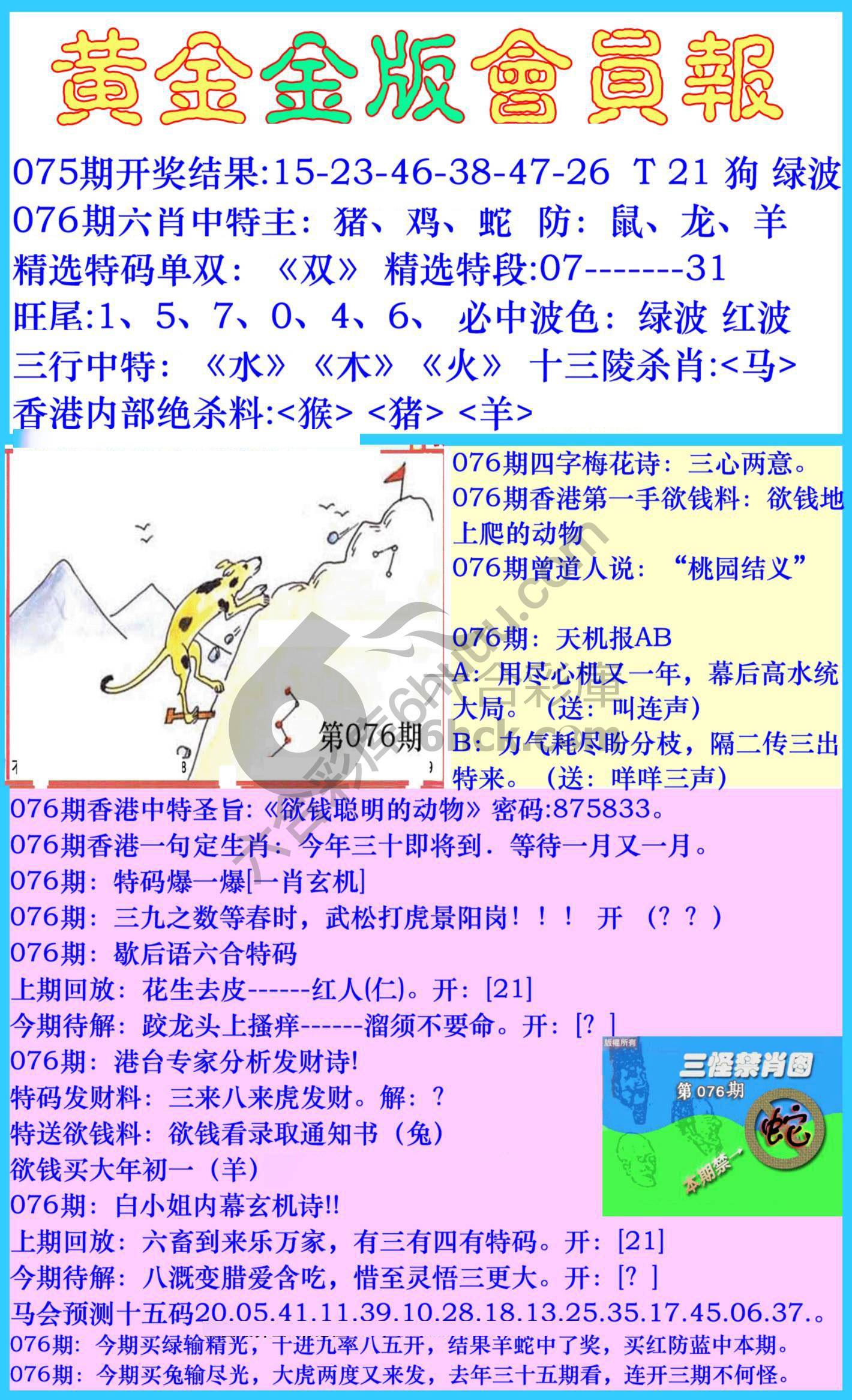 黄金金版会员报