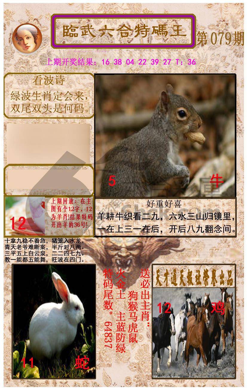 天线宝宝