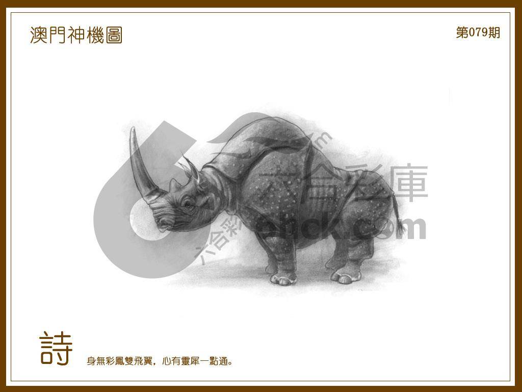 澳门神机图