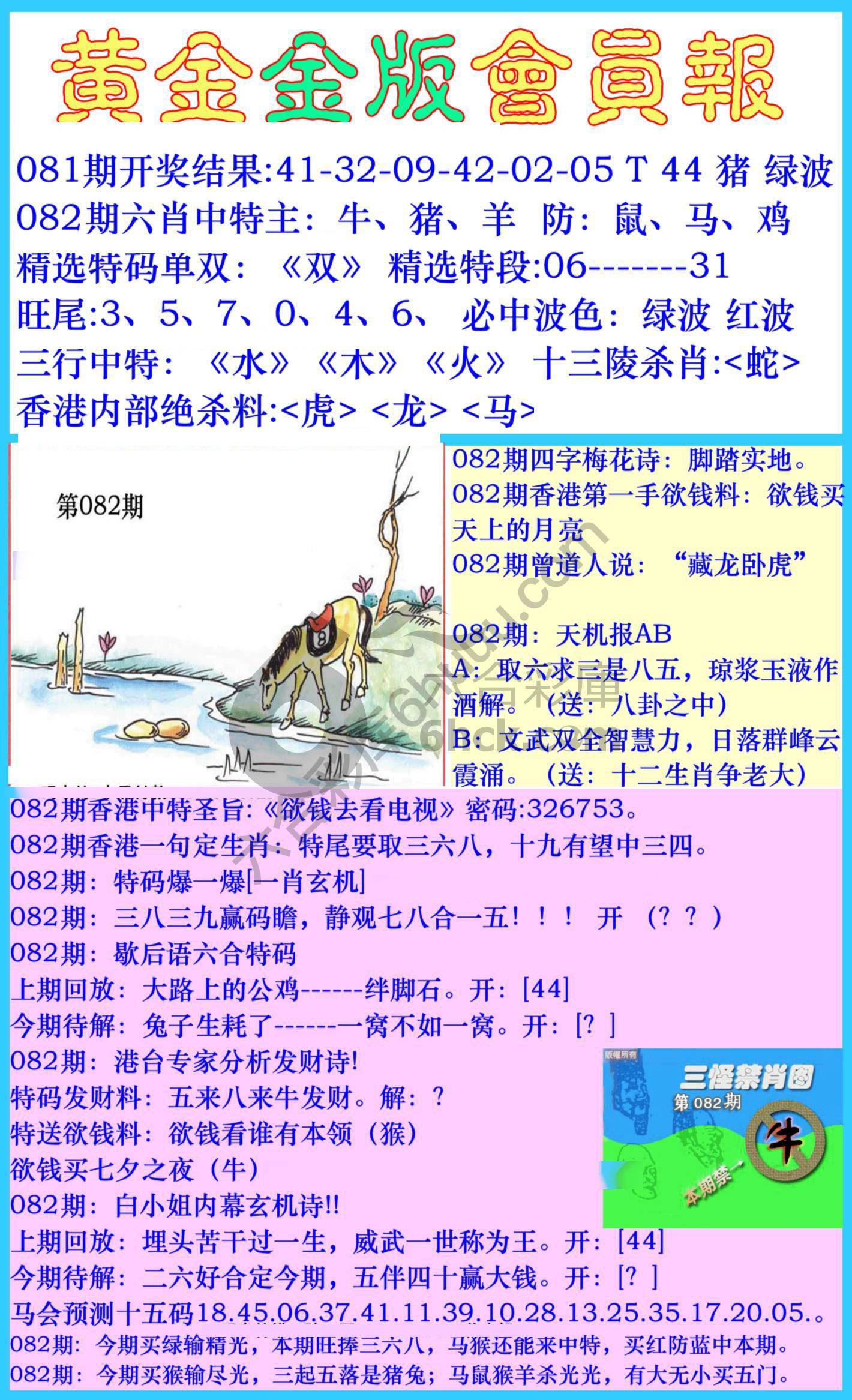 黄金金版会员报