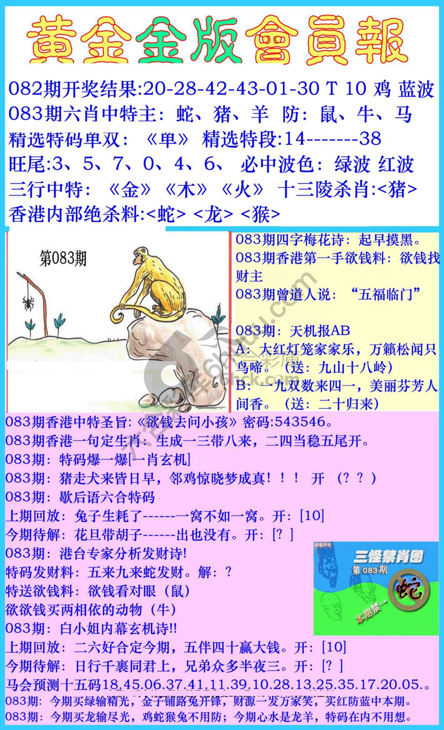 黄金金版会员报