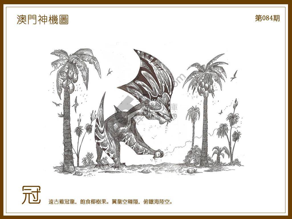 澳门神机图