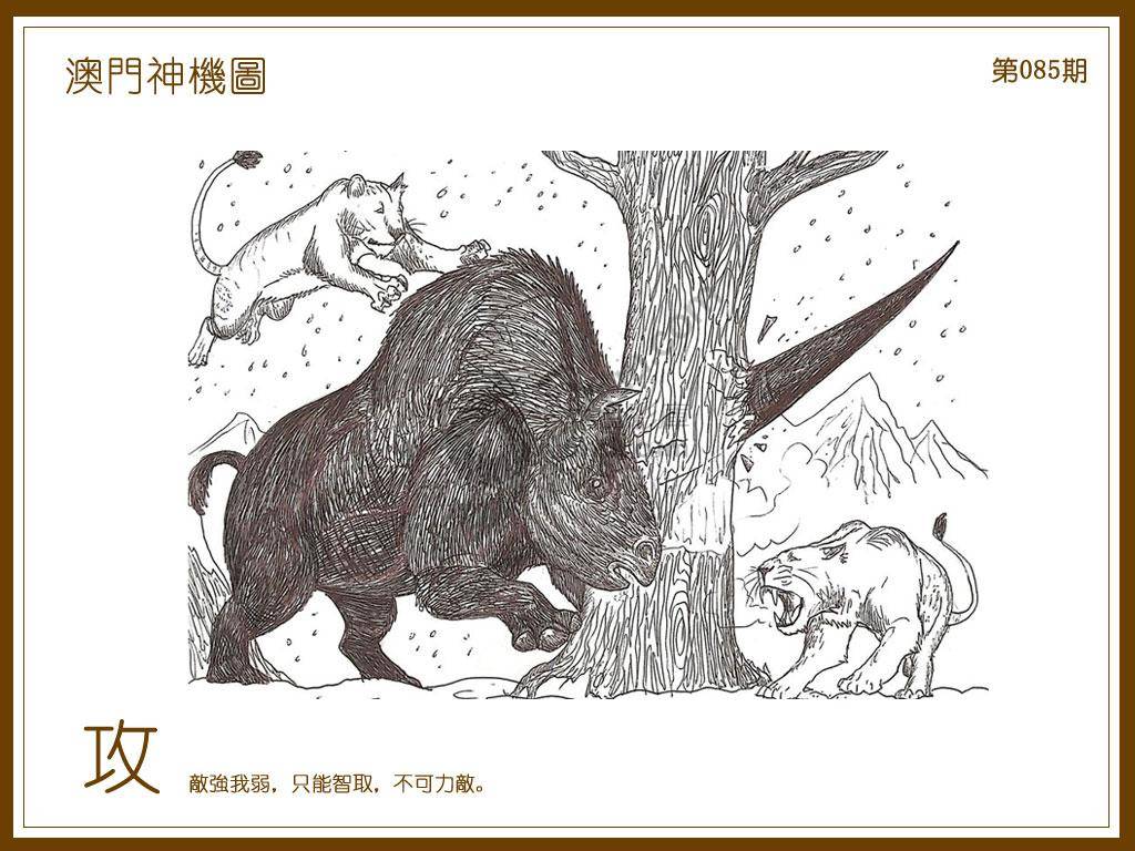 澳门神机图