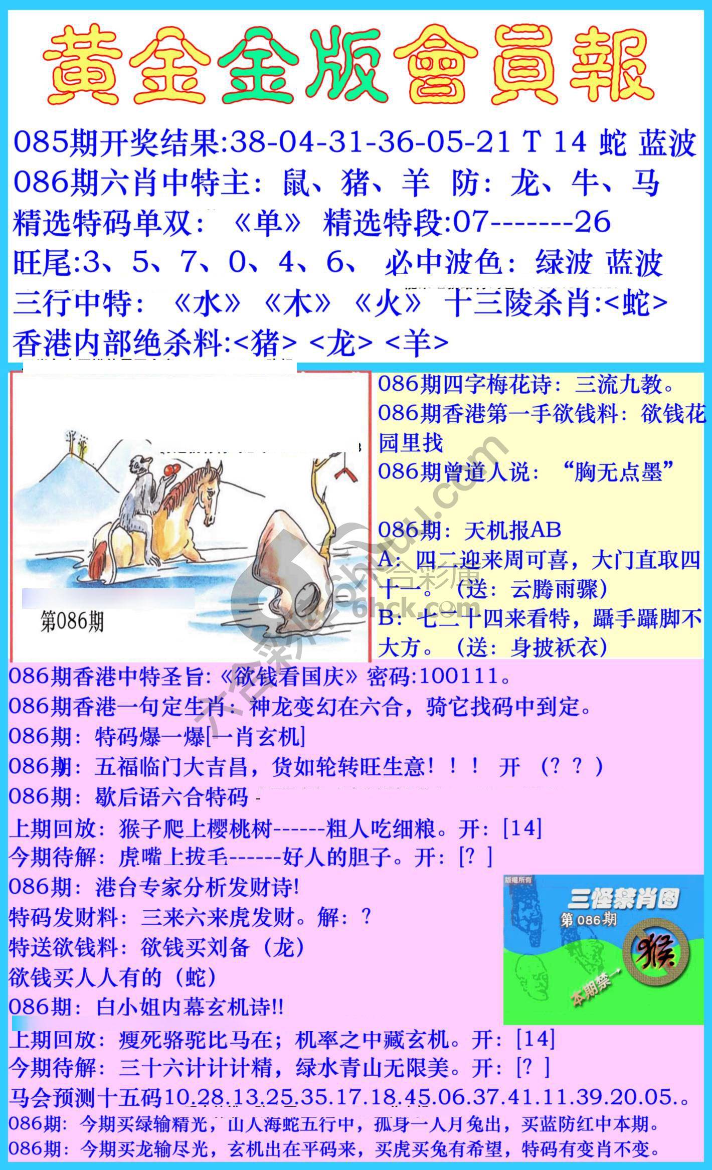 黄金金版会员报