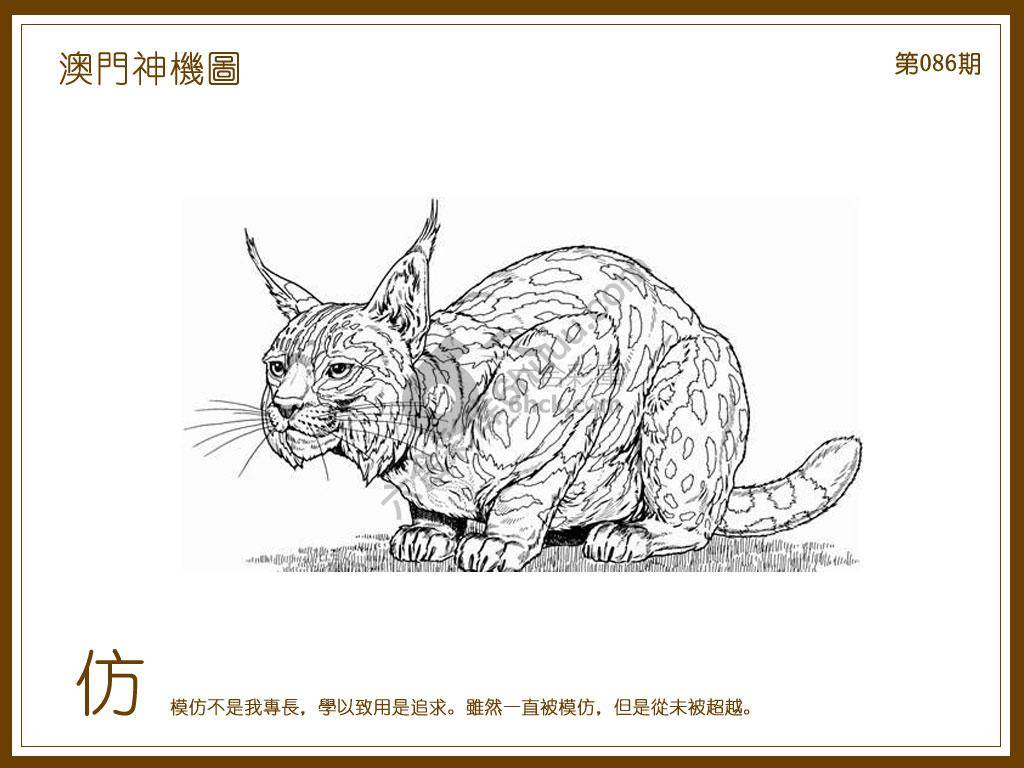 澳门神机图