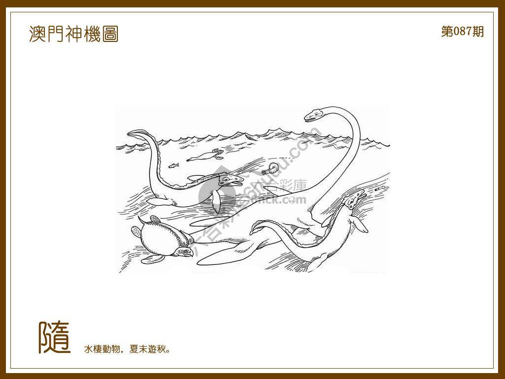 澳门神机图