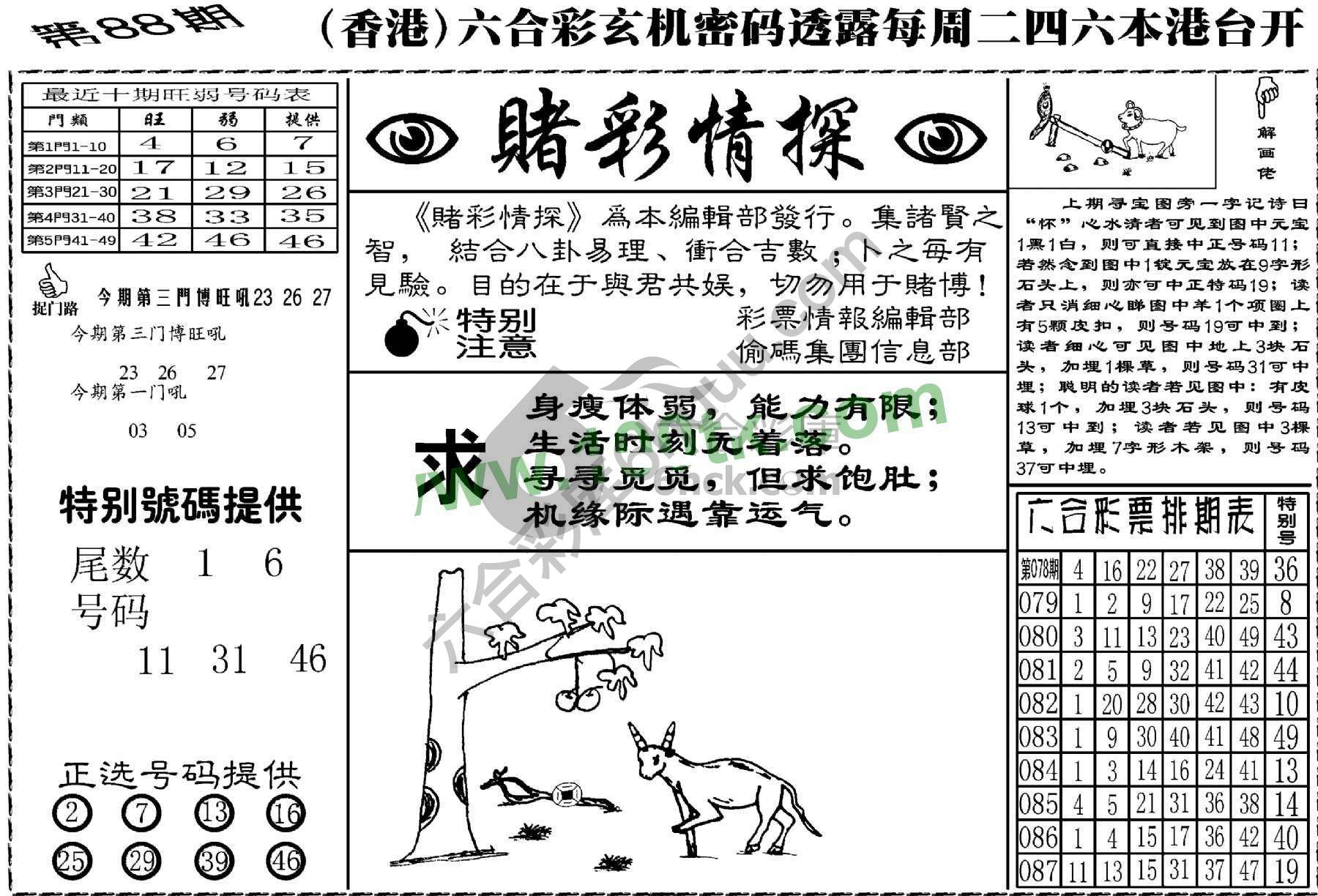 赌彩情探