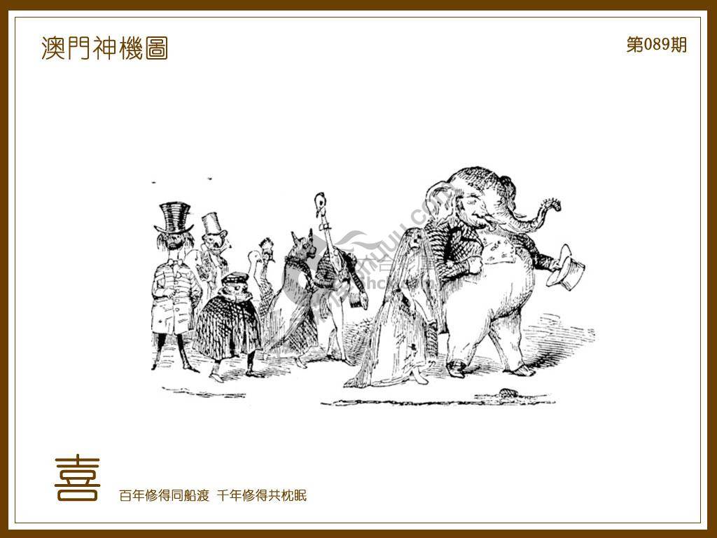 澳门神机图