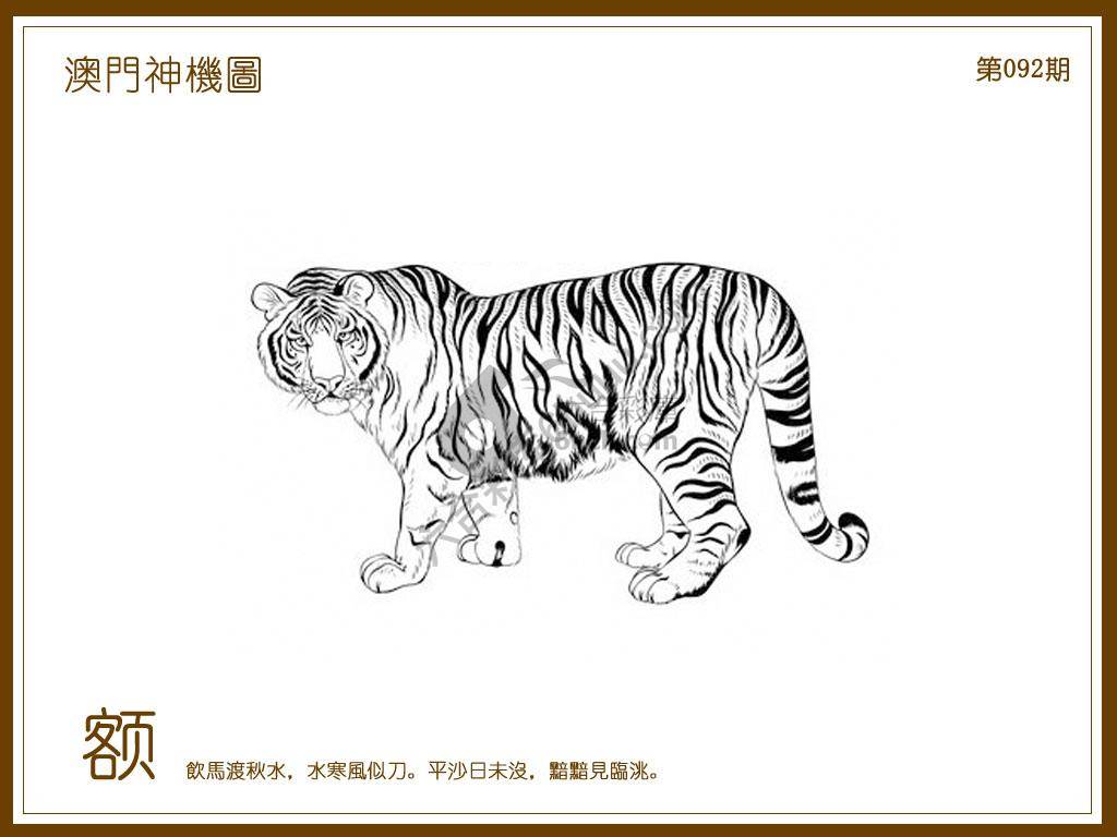 澳门神机图