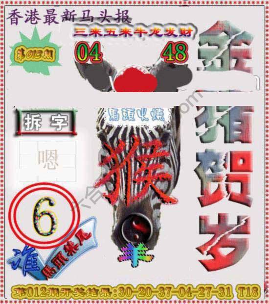 香港马头报